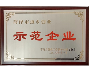菏澤市反鄉(xiāng)創(chuàng)業(yè)示范企業(yè)