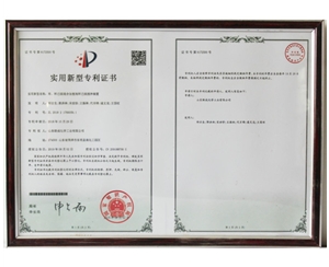專利5