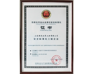 安全標(biāo)準(zhǔn)化
