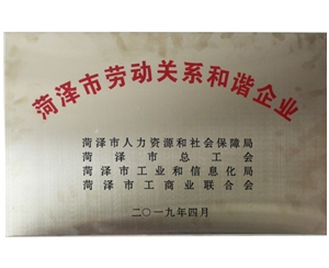 勞動(dòng)關(guān)系和諧企業(yè)